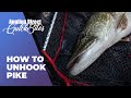 How To Unhook Pike - Predator Fishing Quickbite