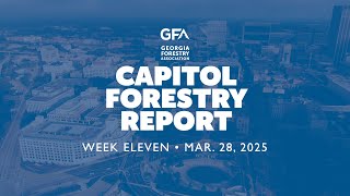 2025 Capitol Forestry Report | WEEK ELEVEN