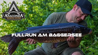 Karpfen am Baggersee | Fullrun am Tag mit ANACONDA