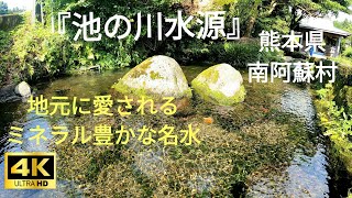 【4K高画質】『池の川水源』(熊本県南阿蘇村)   癒しの水音💧  地元に愛されるミネラル豊かな名水