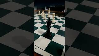 why chess is racist