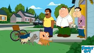Family Guy Season 21 Ep 11 Full Episode Best Episode 2023 Full NoCuts NoZoom 1080p