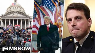‘It’s horrific’: Jan. 6 officer warns Trump’s $1.776B fund could fuel MORE violence