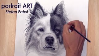 Drawing a portrait of a dog/ PHOTOREALISM