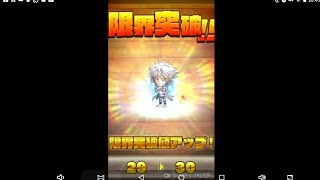 【ジャンプチ】白蘭を限界突破+30にする。