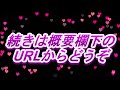 【こち亀最終回】xxさよなら両さん大作戦【10×328】　【こちら葛飾区亀有公園前派出所】