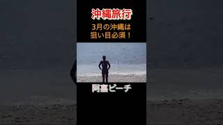 【沖縄旅行】全国旅行支援で沖縄旅行　#shorts　#阿嘉島　#沖縄旅行　#主婦