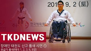 [영상] 장애인 태권도 신규 품새 시연회-유급자 품새