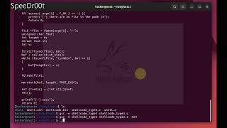 [C lang] read and execute shellcode from a File