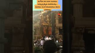 శబరిమల నుండి తిరువాభరణం తిరుగు ప్రయాణం #sabarimala #thiruvabharanam #makaravilakku #shorts