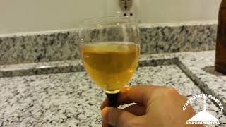 VINHO DE LARANJA - RESULTADO - Charcutaria Experimental