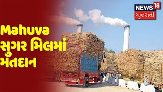 Surat : Mahuva સુગર મિલમાં મતદાન