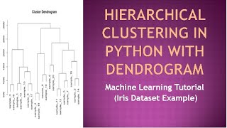 Hierarchical Clustering in Python with Dendrogram | Machine Learning Tutorial (Iris Dataset Example)