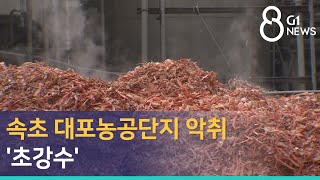 [G1뉴스] 속초 대포농공단지 악취 '초강수'