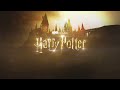 harry potter hbo original series official announcement max