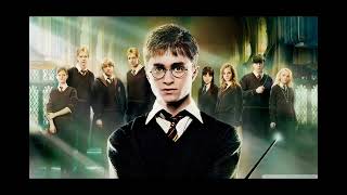 Harry Potter: This Unpopular Opinion Would Have Improved the Movies