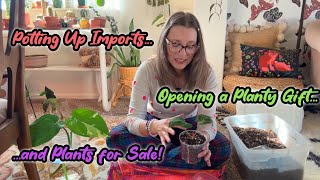 Potting Up Import Plants | Opening a Special Planty Gift | A Look At Plants For Sale In My Shop