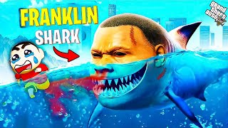 Dangerous Shark Become a Franklin and Attacked Shinchan in GTA 5