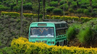 TNSTC Bus through beautiful valparai estate road |