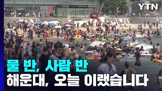 여름 끝자락 '성큼'...해운대 찾은 막바지 피서객들 / YTN