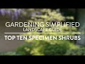 Gardening Simplified - Top Ten Specimen Plants