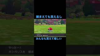 ポケモン剣盾　ルビサファからとんだ男が嬉しかったこと　経験値