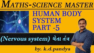 Human body Cheta tantra/Nervous system /ચેતાતંત્ર /Cheta tantra gujarati