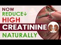 Now Reduce High Creatinine Naturally | Enhance Creatinine Clearance