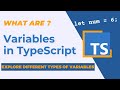 TypeScript Variables: Understanding Types and Declarations