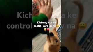 Kichutey dua ke control kora kora jay na😄😀#tranding #funny #pets #dog #puppy @pakhirbasa8862