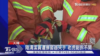 擦窗器磁力強 可一秒夾碎蟹鉗.雞爪｜TVBS新聞