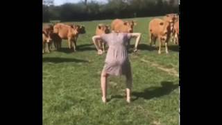 Revolutionary Cow chasing technique... Grand Master Cow at end