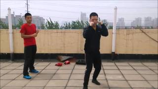 散打教程1格斗势 Chinese kungfu