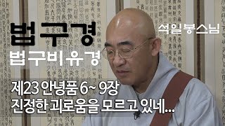 법구경 제98회 - 안녕품 6~ 9장... 진정한 괴로움을 모르고 있다네...