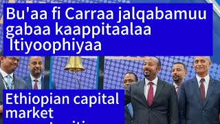 Bu'aa fi carraa jalqabamuu gabaa kaappitaalaa itiyoophiyaa/Ethiopian capital market opportunities