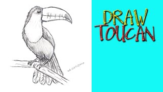 HOW TO DRAW A TOUCAN BIRD Step by Step Pencil Drawing Tutorial. Guided realistic bird sketch