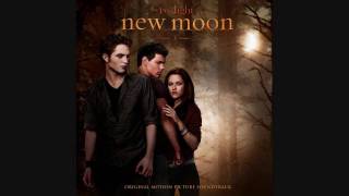 8. Bon Iver & St. Vincent - Rosyln - New Moon OST