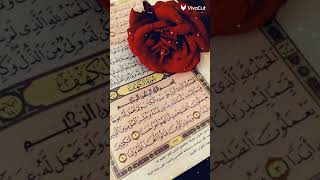 اول شي هذا احسن من كل الناس ثاني شي لا تنسون المسابقه فل الفيديو