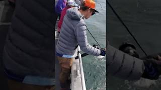 Halibut Combo Fishing in Homer Alaska