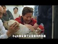 感動1億人的導盲犬心動史：愛是無語的美麗！ 电影 电影解说 影视 影视解说 剧情