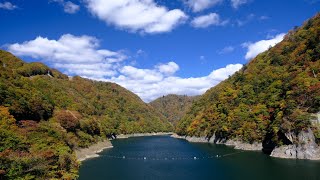 とちぎの風景 美しき紅葉の五十里湖 日光市 2022 4K