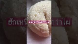 ข้าวเหนียว ส่ายข้าวเหนียว