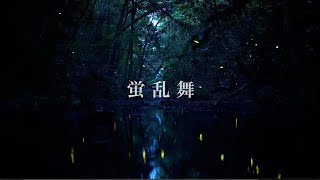 蛍の乱舞 / Fireflies Dance　　兵庫県