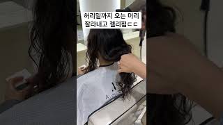 태어나서 처음보는 긴머리 아니 두번째로 보는 긴머리 스타일 바꿔드리기