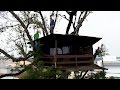 Treetop Office Inspires Creative Design