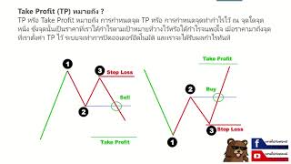 FOREX Take Profit TP คืออะไร และ เทคนิคการหาจุด TP