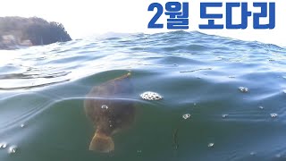 마산 봄 도다리 덴마낚시 - 2월의 바다 수중영상