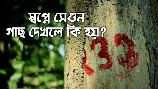 স্বপ্নে সেগুন গাছ দেখলে কি হয় | স্বপ্নে বাগান দেখলে কি হয় | স্বপ্নে গাছ দেখলে কি হয় | dream tree