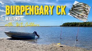 Fishing for Whiting in Burpengary Creek