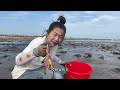 the moon broke out on the beach and niu niu came to the sea to pick up one nest after another.